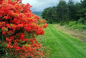 �N���X�J���g���[�R�[�X