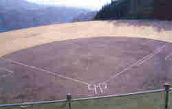 �����ˑq���ؖ싅��