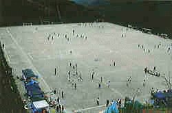 �����ˑq�ϸ�����������