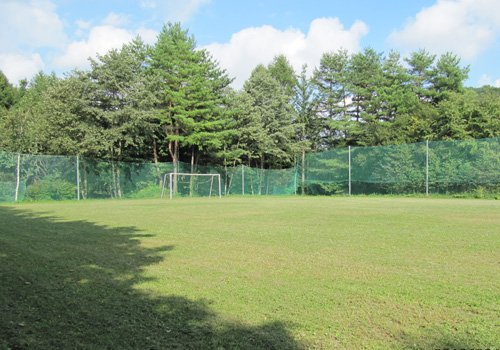 �������� �y���V���������ق���