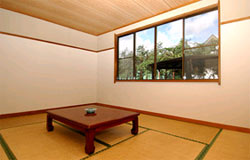 �������� �y���V���������Â�