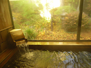 �����Еi����@�O���̏� ������