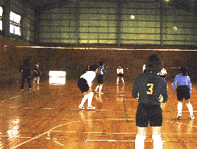 ���������� ���Ă���ł�