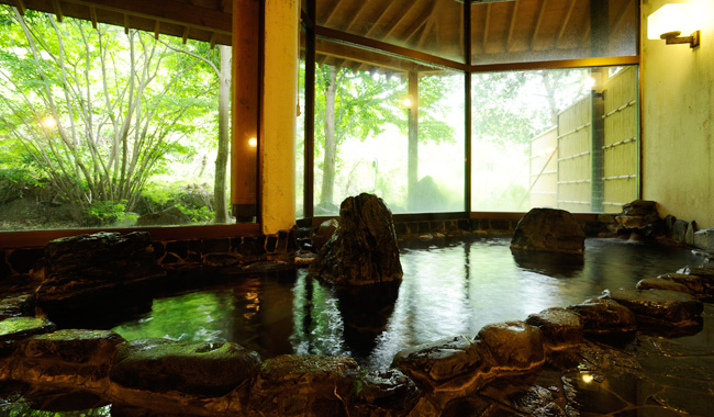 ���������� ���Ă���ł�