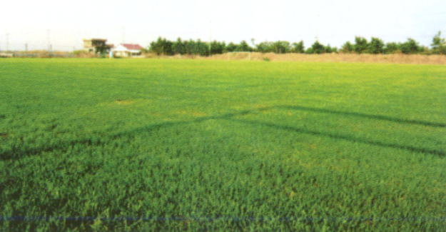 �g��O���[���z�e��