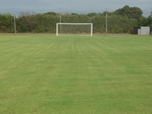 �g��@�X�|�[�c�v���U�C�V�o�V