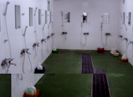 �g�� �z�e���W���[�j�B�[���[�h��ٰܰ�