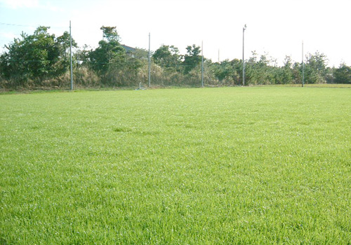 �g�� �z�e���j���[����