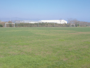 �g�� ���킽�����َŃO�����h