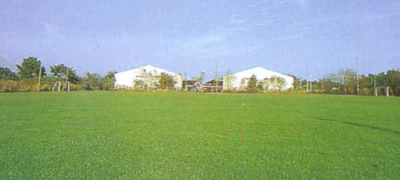 �g�� ���킽������