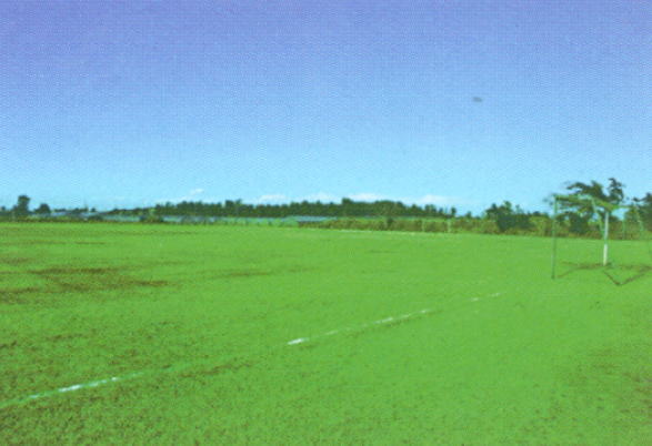 �g�� �z�e���`�F�b�N�C�[����������