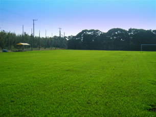 �g�� �X�|�[�c�|�[�g���O�����h 