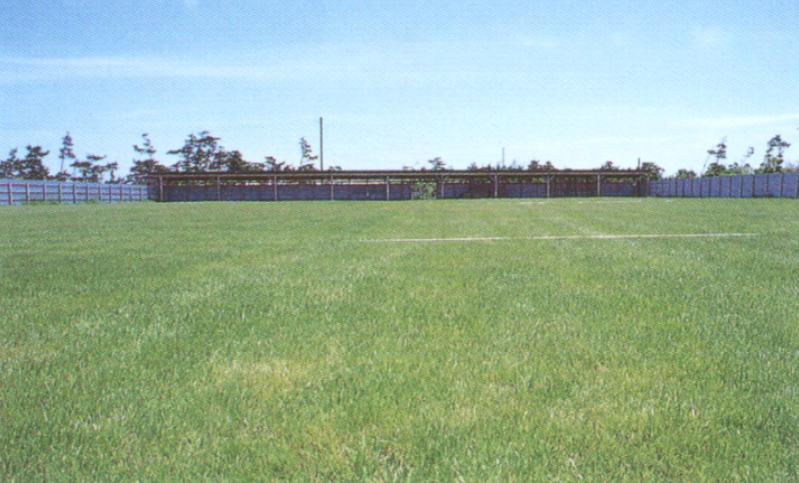 �g�� �X�|�[�c�|�[�g���A�[�`�F���[�� 