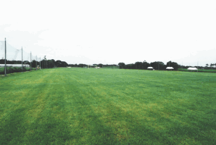 �g�� �z�e���~�͂�