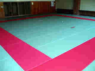 ��錧�g�荇�h�̔g��̈�ٓ���