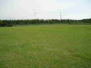 ��錧�g�荇�h�̊C�l������