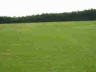 ��錧�g�荇�h�̊C�l������