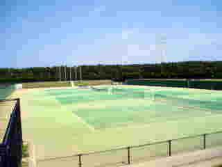 ��錧�g�荇�h�̊C�l����ƽ��āi24�ʁj