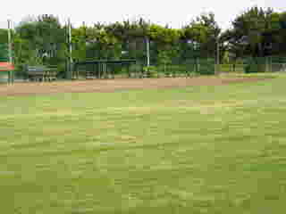 ��錧�g�荇�h�̊C�l�\�t�g�{�[����