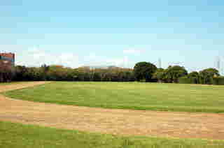 ��錧�g�荇�h�̐_�V�r���㋣�Z��