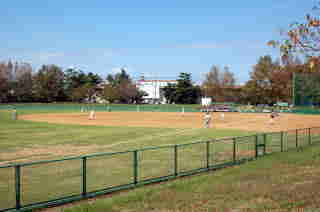 ��錧�g�荇�h�̐_�V�r�싅��