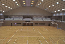 ���C�N�A���[�i����