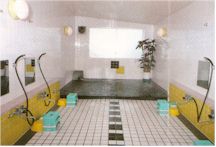 ���������o�[�Y�E�C���嗁��