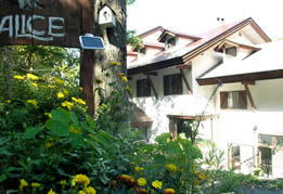 ���������@�y���V�������肷