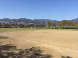 �X����������