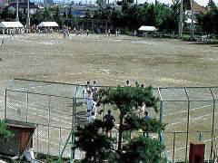 ����^��������ދ���