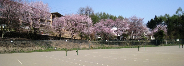 �y���@���� �e�j�X�R�[�g