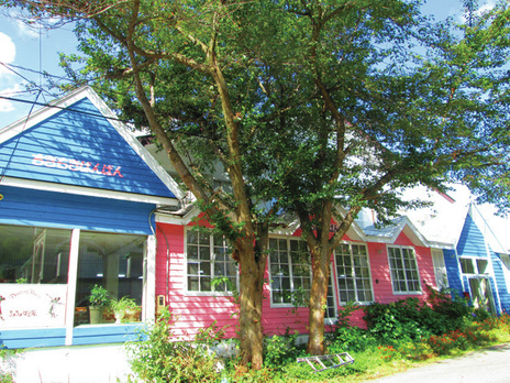 �ؓ����@Dancing House���������΂�΂�O��