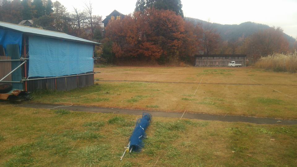 �y���V�������i�ǁ`�ށj���A�[�`�F���[��