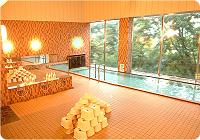 �k�u�ꗳ�������z�e���A���p�C�����C