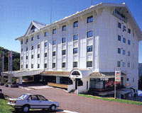 �k�u�ꗳ�������z�e���A���p�C���O��