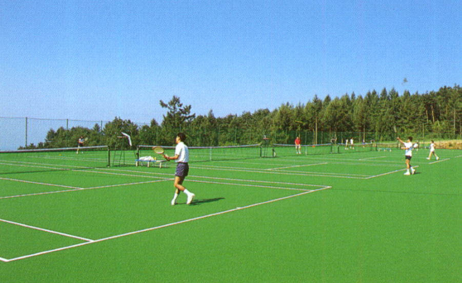 �k�u���܂��@�z�e���J�X�P�[�h�e�j�X�R�[�g