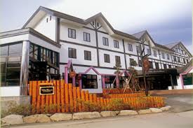 �k�u�ꗳ�������@���B���E�`�F���I�O��