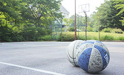 �k�u�ꍂ��x�m �z�b�T���C���k�u��o�X�P�b�g�{�[���n�[�t�R�[�g