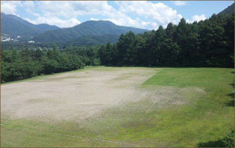 �k�u�ꍂ��x�m �z�b�T���C���k�u��O�����h