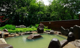 �k�u�ꍂ��x�m �z�b�T���C���k�u��I�V���C