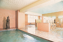 �k�u�ꗳ������ �����}�E���e���z�e�����C