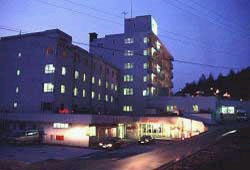 �k�u�ꗳ������ �����}�E���e���z�e���O��