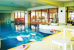 �k�u�ꗳ������ �����}�E���e���z�e���@�����v�[��