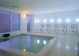 �k�u�ꗳ�� �����p�[�N�z�e�����C