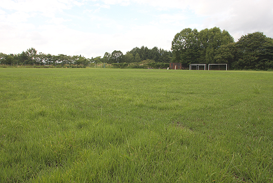 �k�u�ꗳ�������@�z�e������