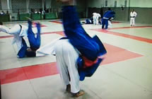 ���P����������