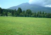 ���P�����@�z�e���ጎ�@�O�����h