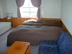 ���������@��ݼ�݃����w���n�E�X����