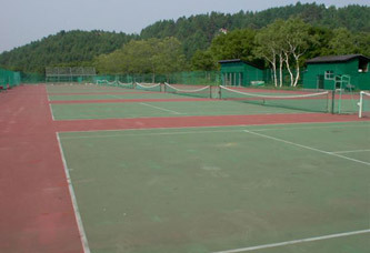 ���������o�[�Y�E�C���e�j�X�R�[�g