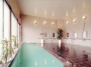 ���������@�z�e���V���N�C���������C